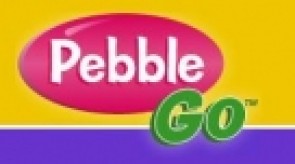 Pebble