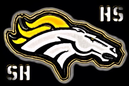 Ford high school sterling heights michigan #9